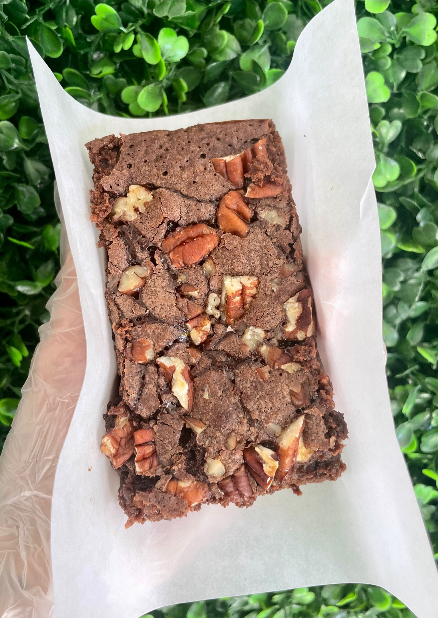 Turtle Brownies 