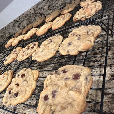 Chocolate Chip