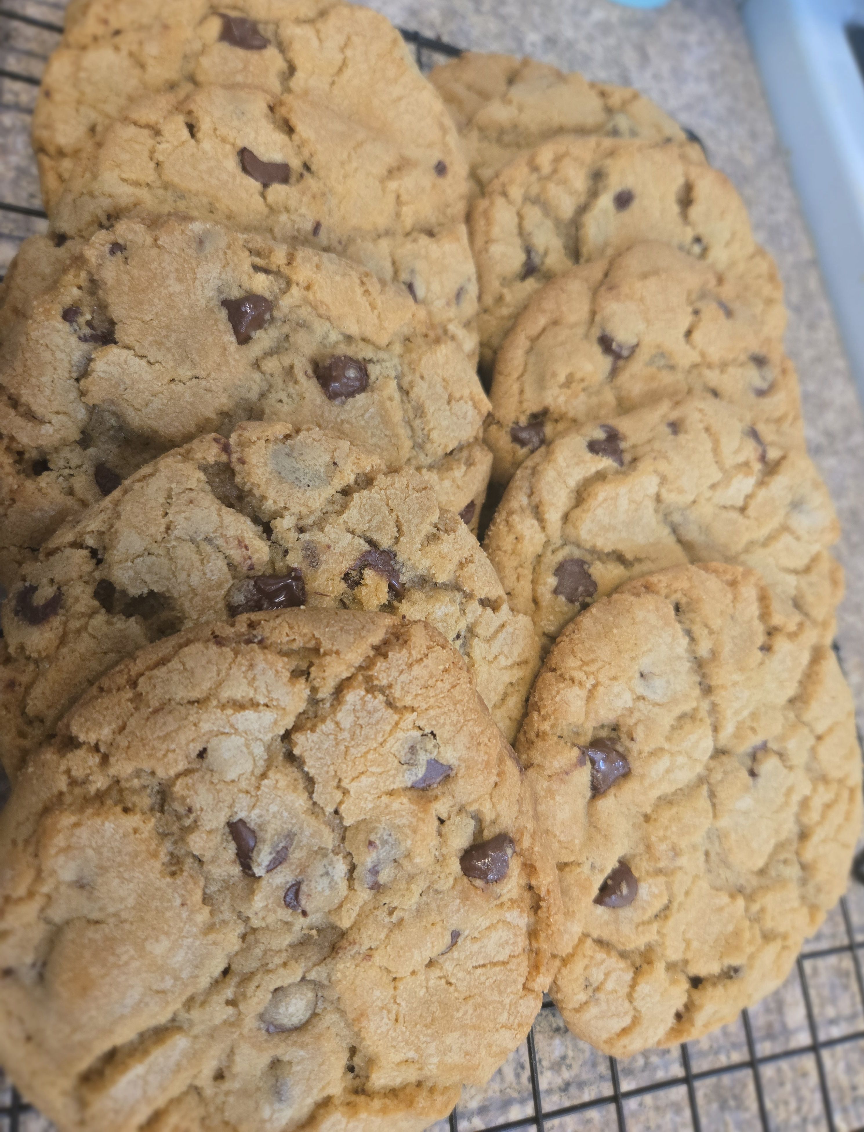 Chocolate Chip Cookies (12ct)
