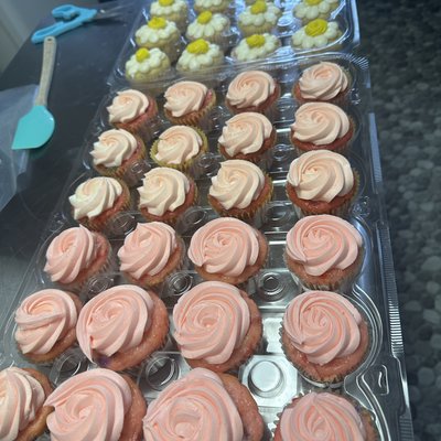 Normal Cupcakes 