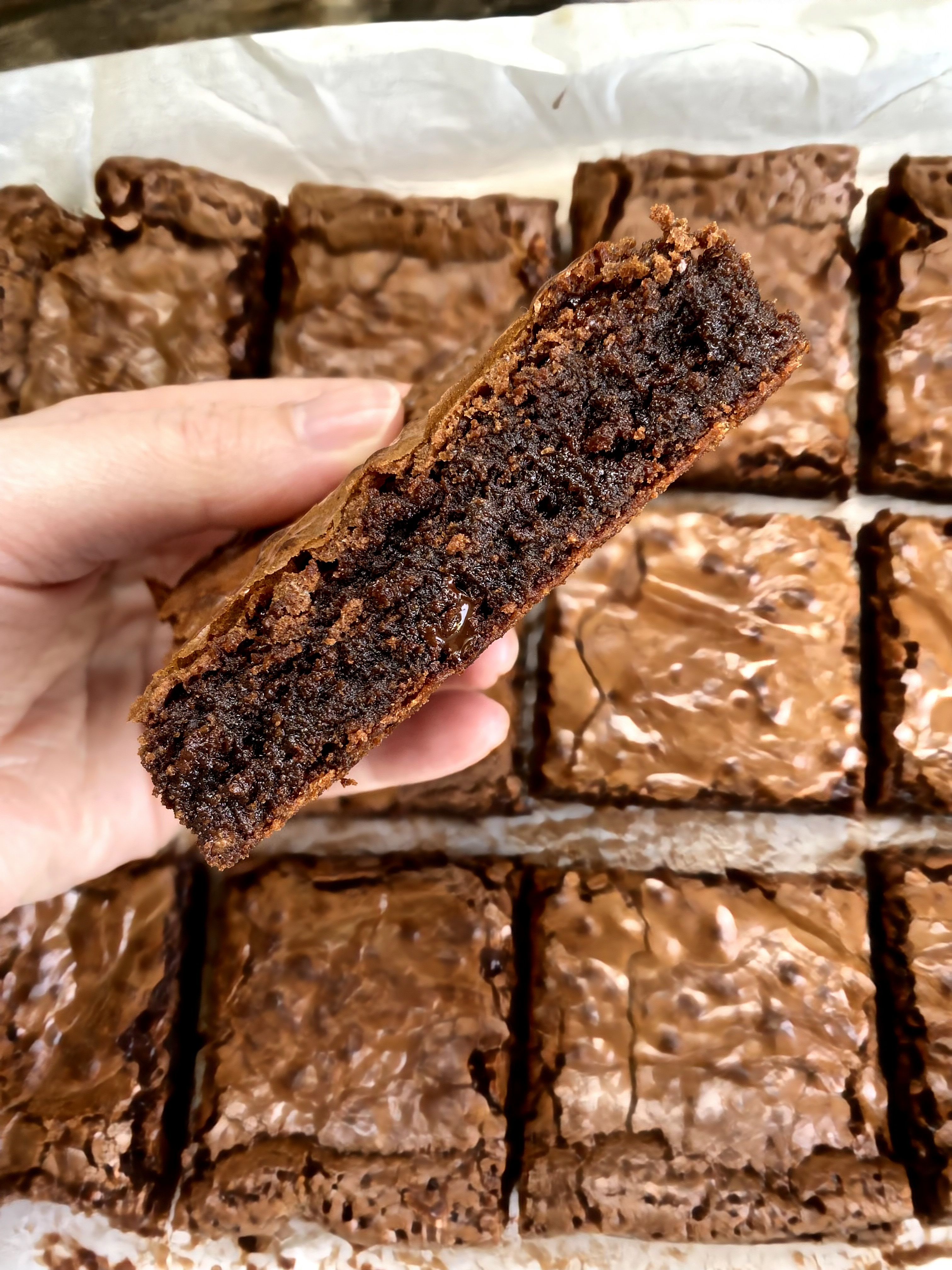 Chocolate Chunk Brownies