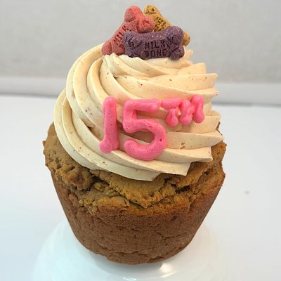 Pupcake Jumbo Cupcake