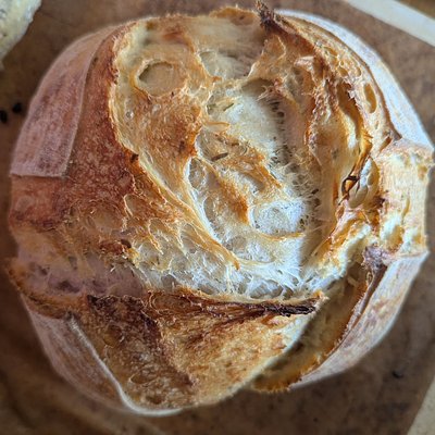 Roasted Garlic + Rosemary Sourdough Bread