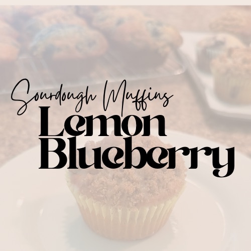 Sourdough Lemon Blueberry Muffins (4ct)