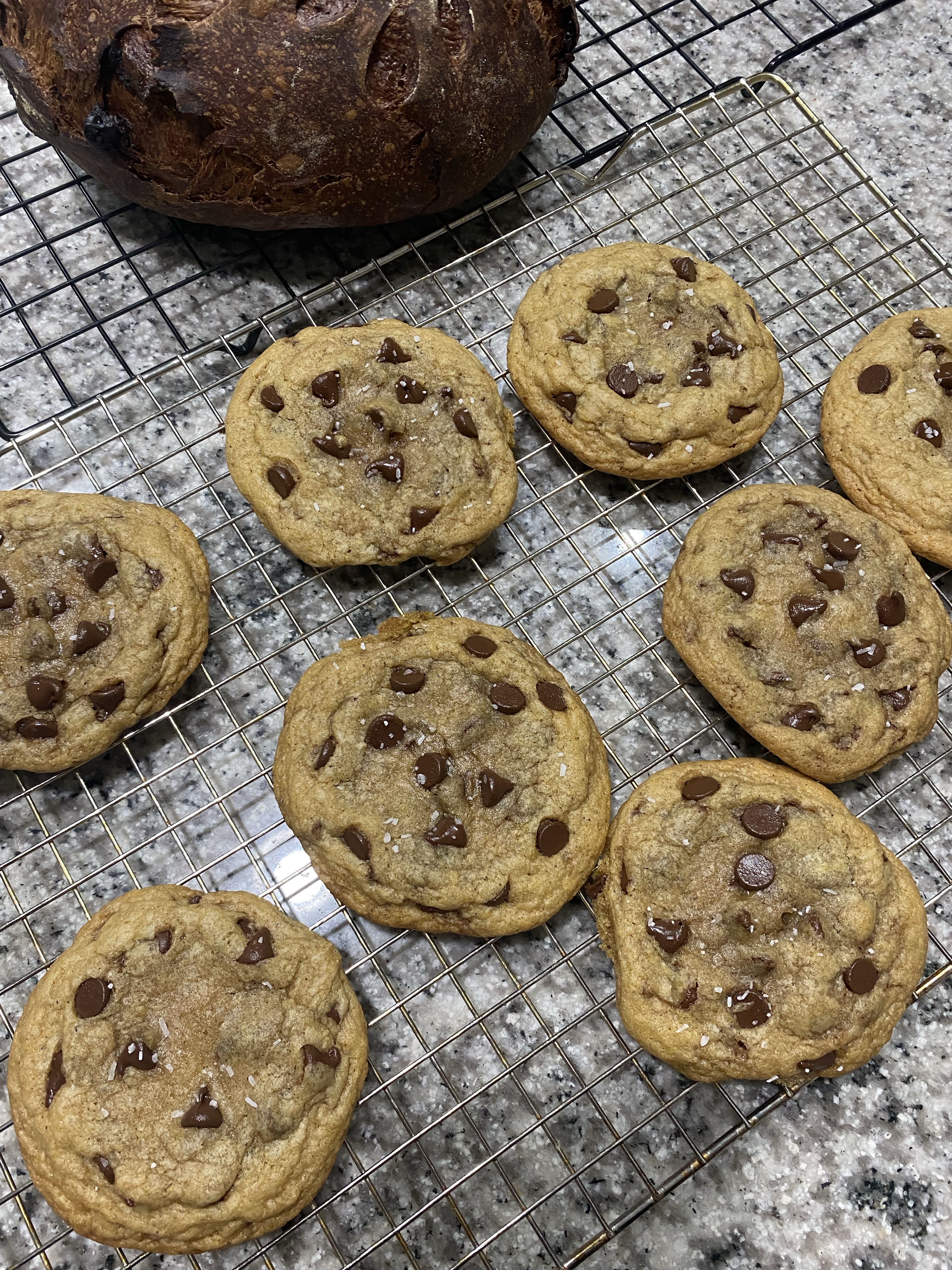Chocolate Chip Cookies (6)