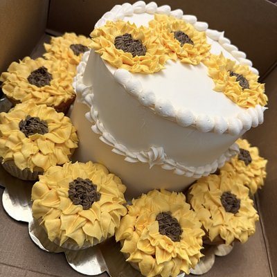 Cupcakes + Cake 