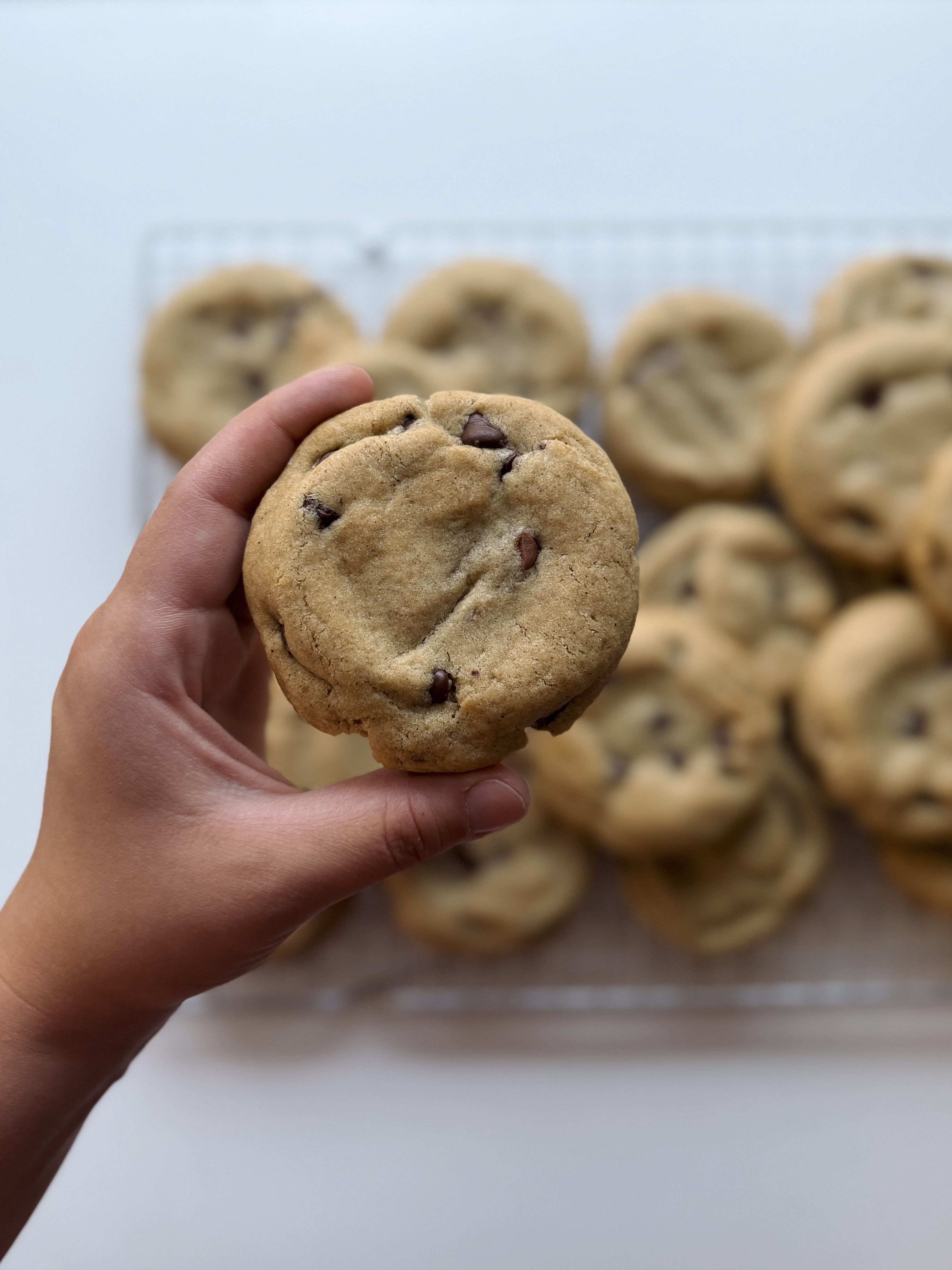 Brown Butter Chocolate Chip Cookies (12)