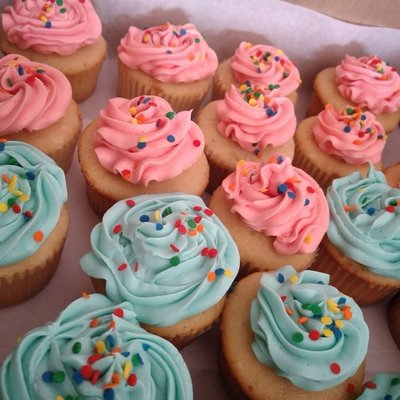 Calypso Cupcakes
