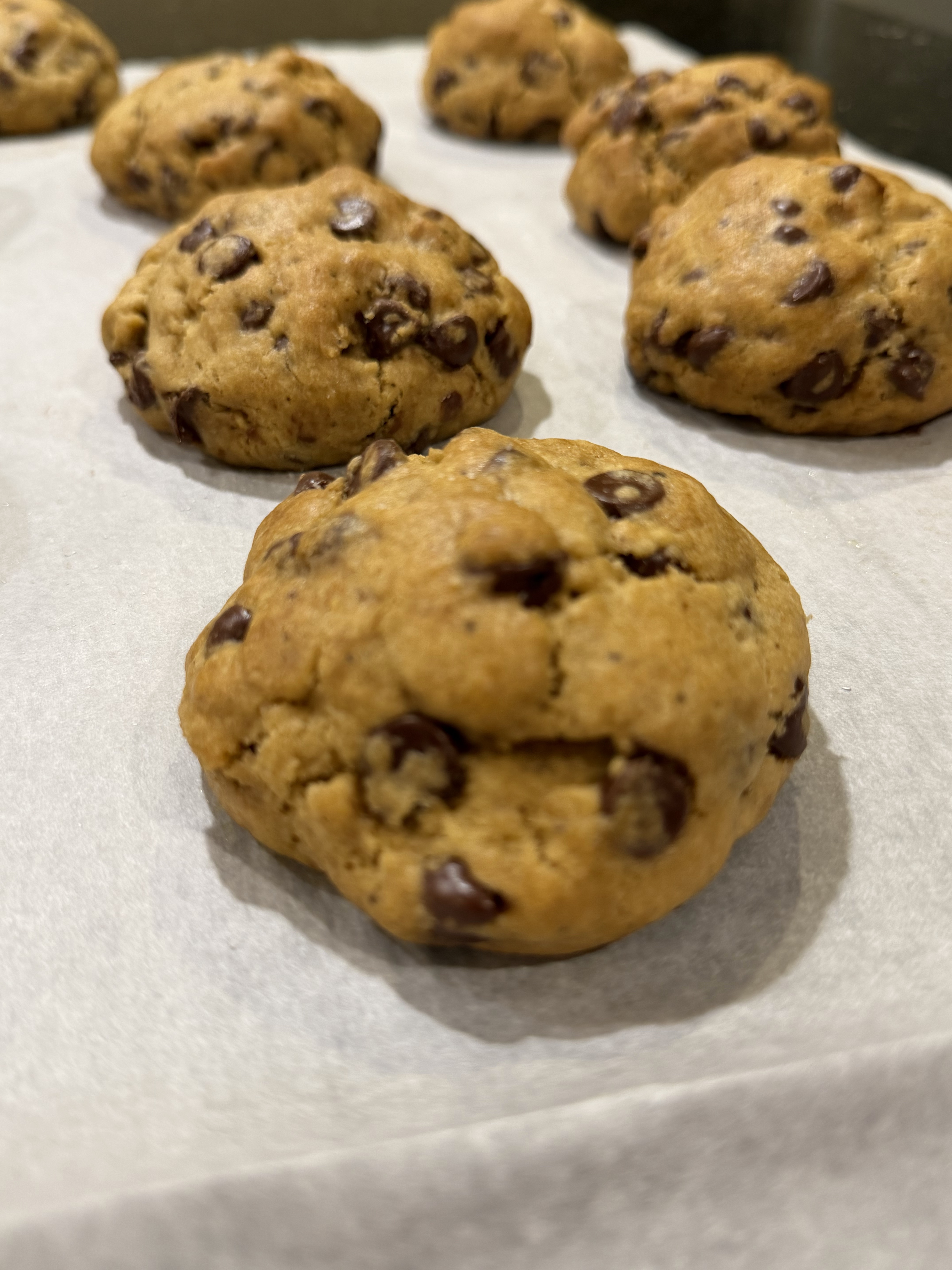 Chocolate Chip Cookie (4 Oz)