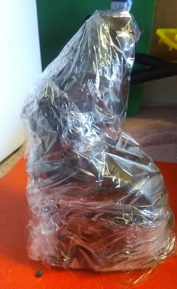 Chocolate  Stuffed Bunny
