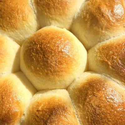 Sourdough Dinner Rolls 