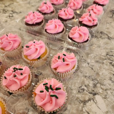 Mini Cupcakes 