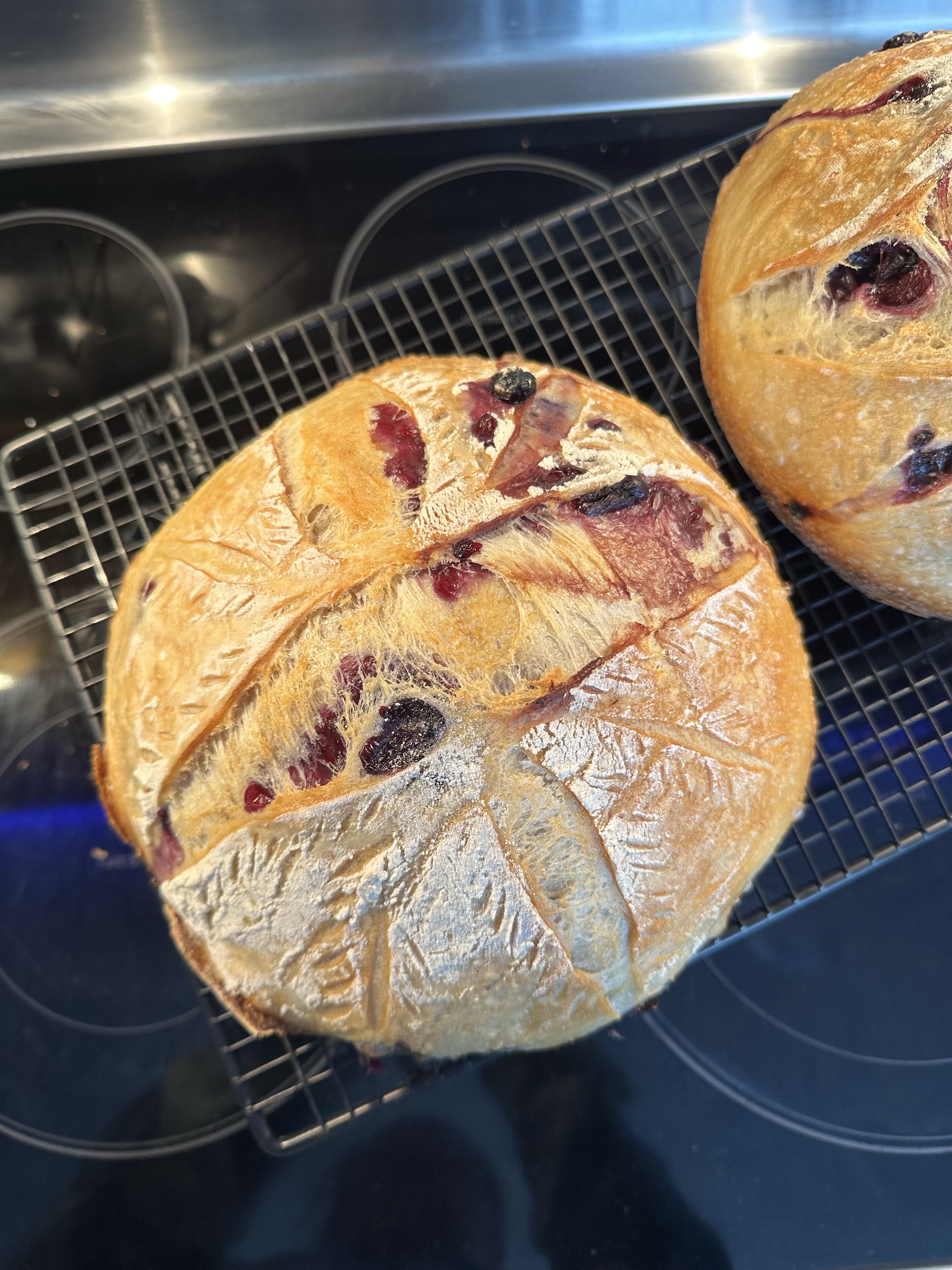 Blueberry Lemon Sourdough Boule