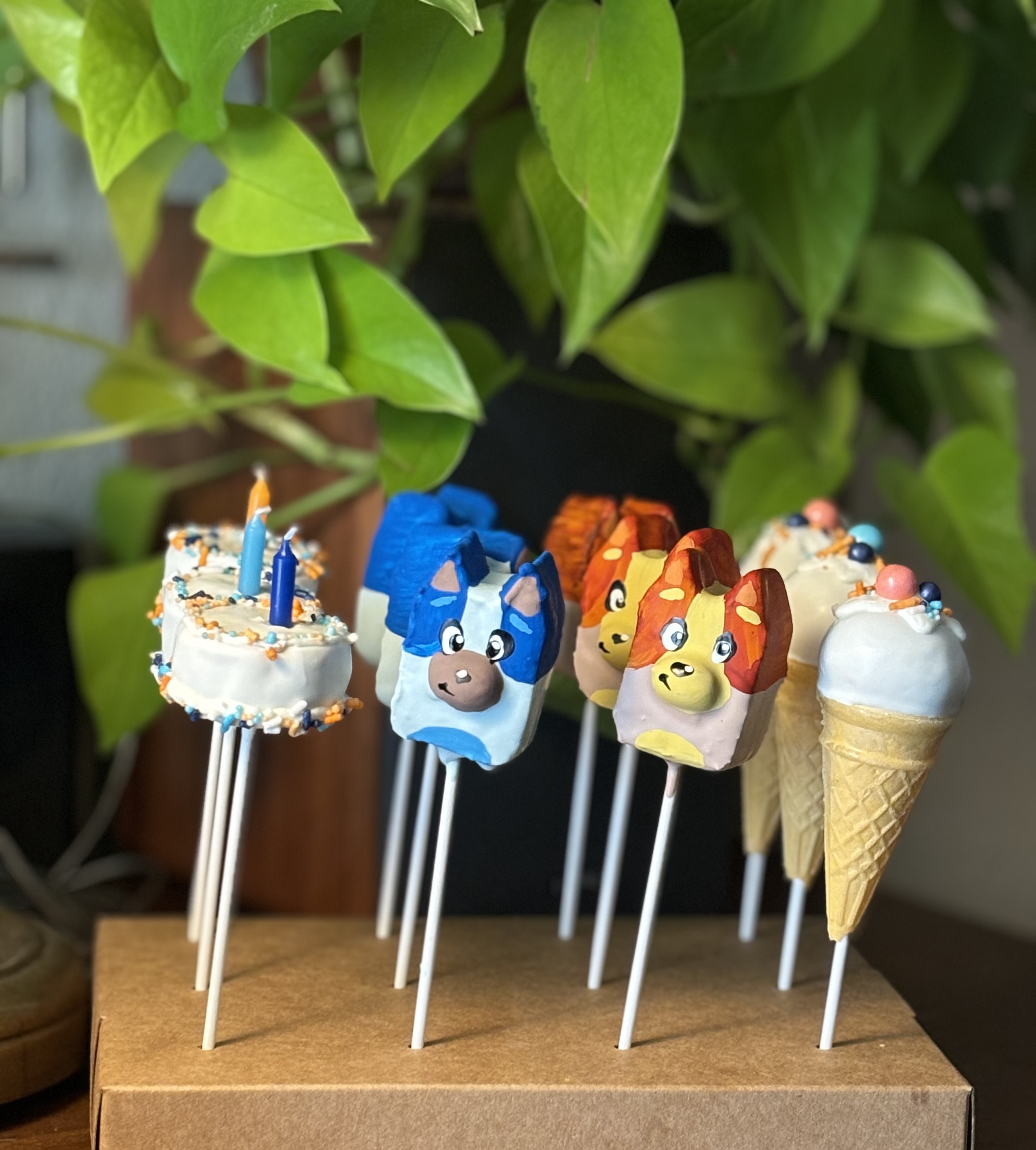 Designer Dozen
