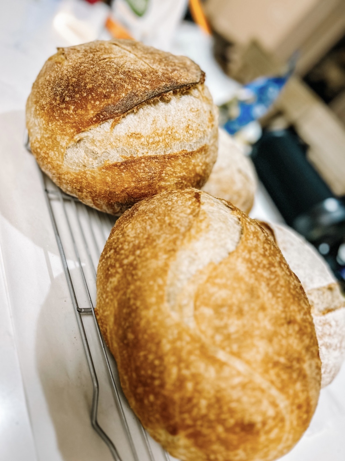 Classic Artisan Boule