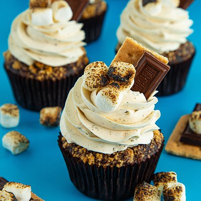 Campfire S’mores (12)