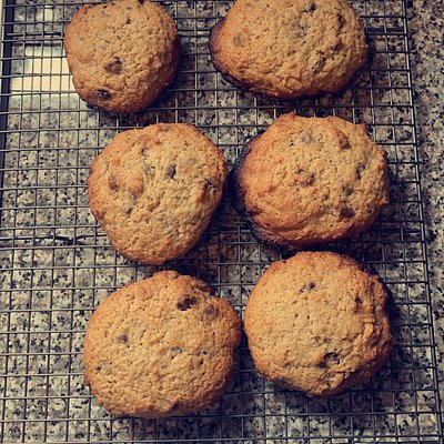 Chocolate Chip Sourdough Cookies 