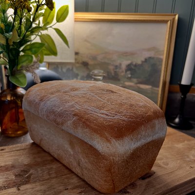 Sandwich Bread
