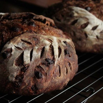 Double Chocolate Espresso Sourdough 