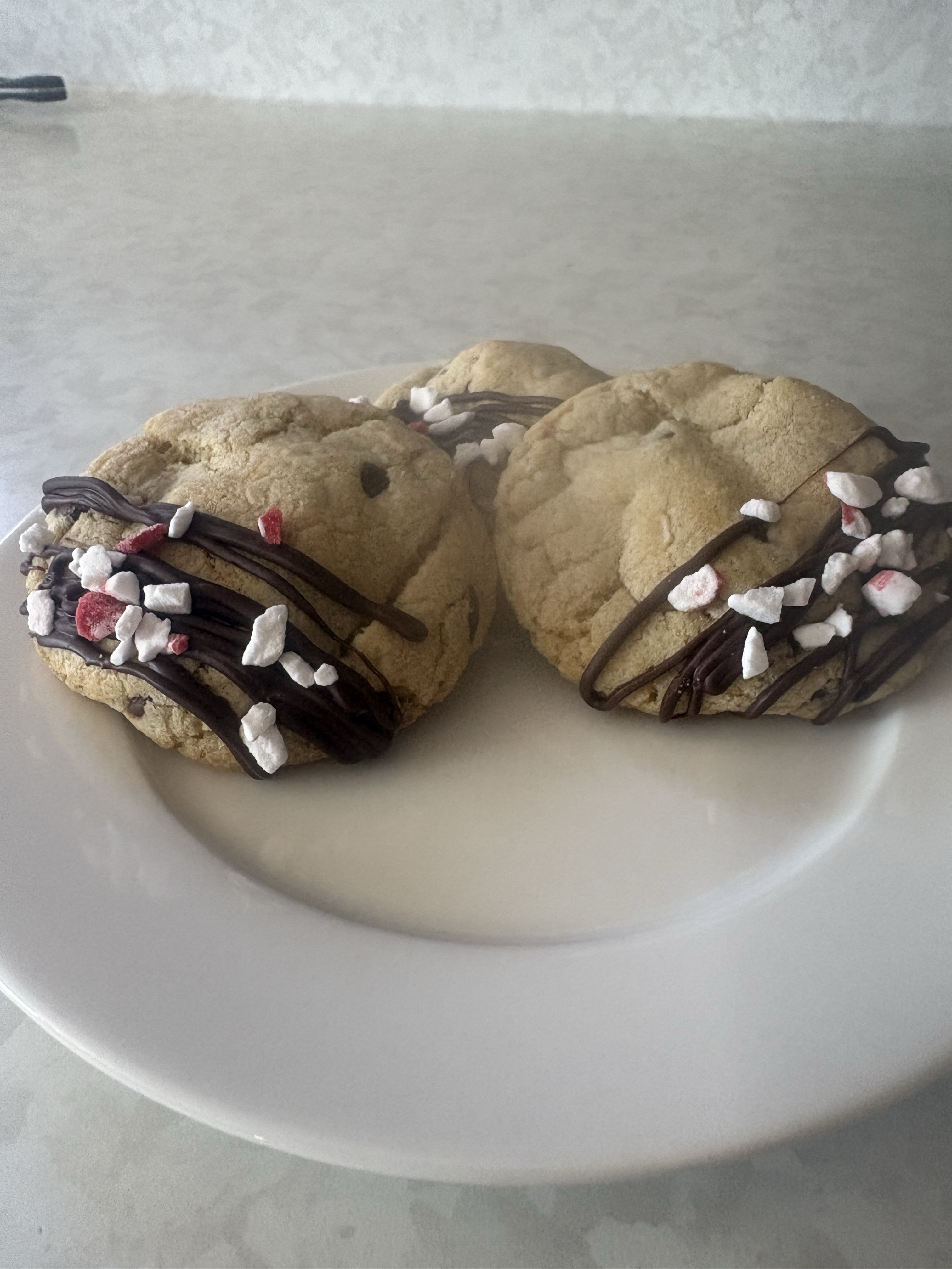 Chocolate Chip Peppermint Cookies 