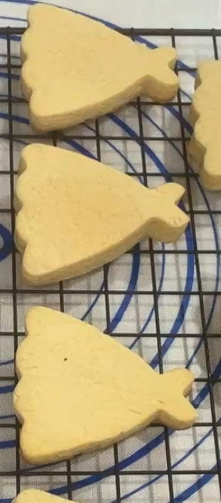 Plain sugar Cookies 