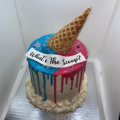 What’s The Scoop Gender Reveal 6in