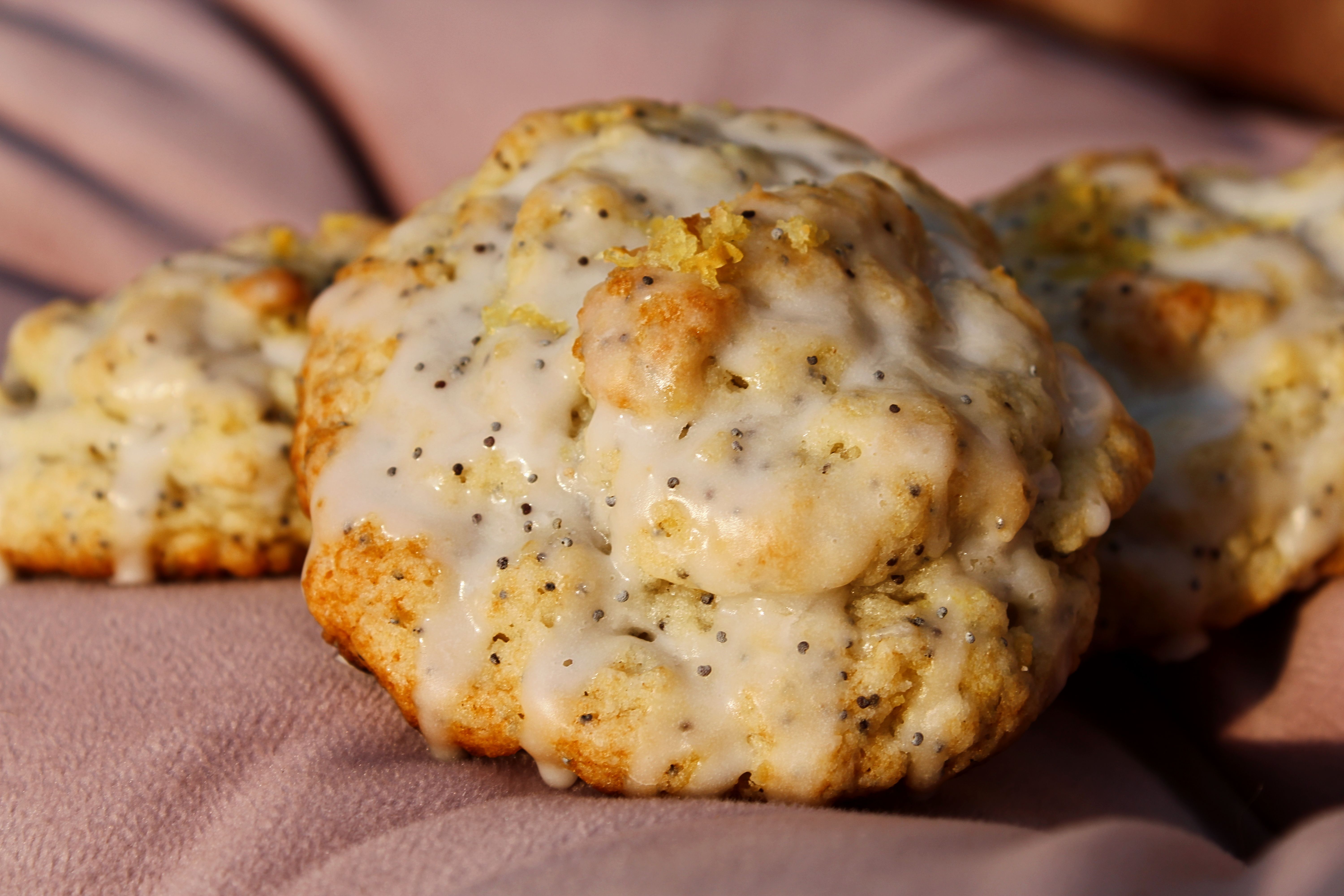 Lemon Poppy Seed Scone - 5 Count 