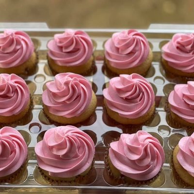 BASIC CUPCAKES