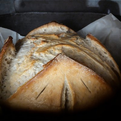 Sourdough White