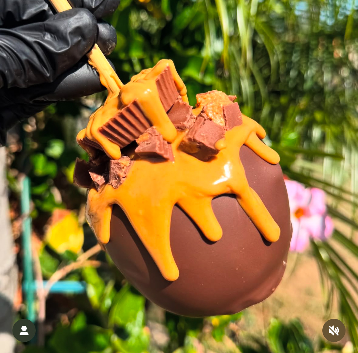 Peanut Butter Caramel 
