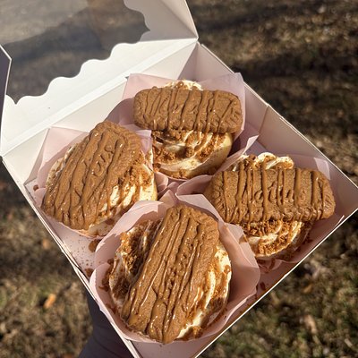 6CT Lotus Biscoff💛