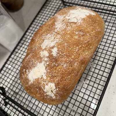Gluten Free Sourdough 