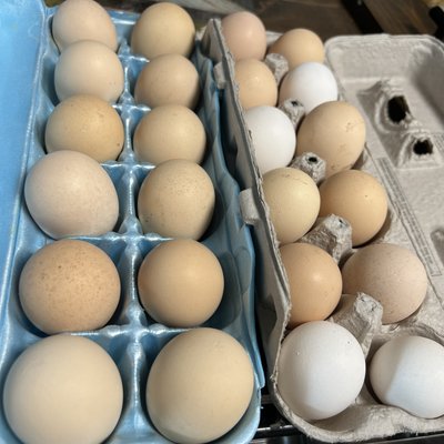 Eggs 🍳 