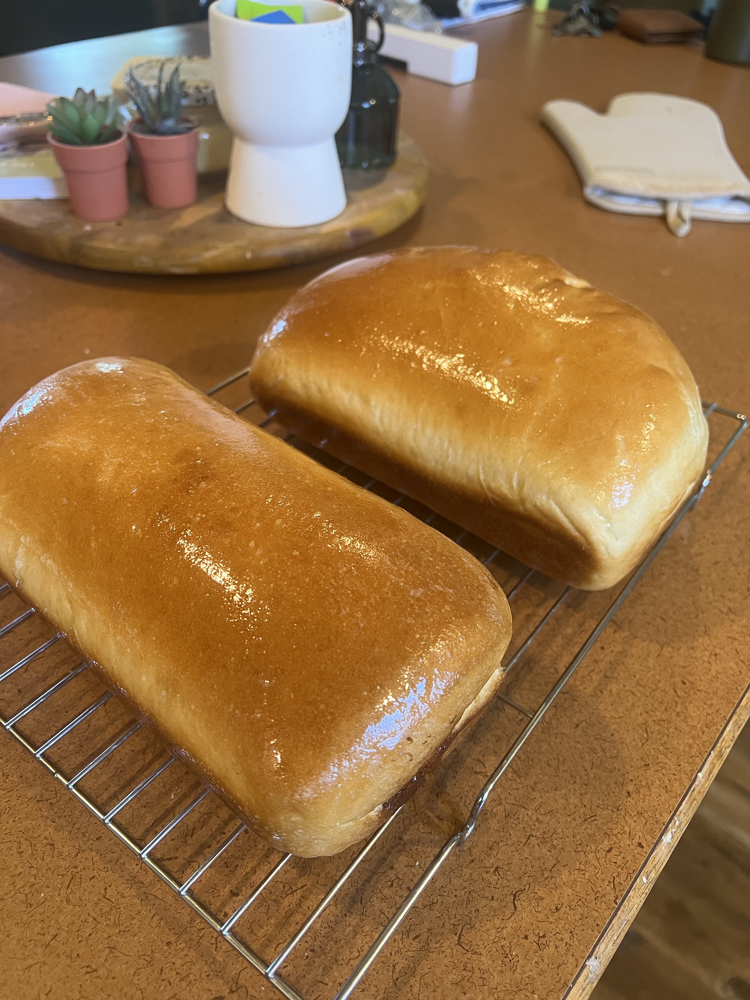 Plain Yeast Bread