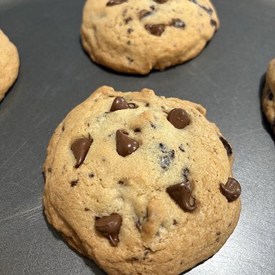 Chocolate Chip 