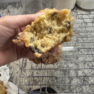 Chocolate Chip Sourdough With Strudel.   