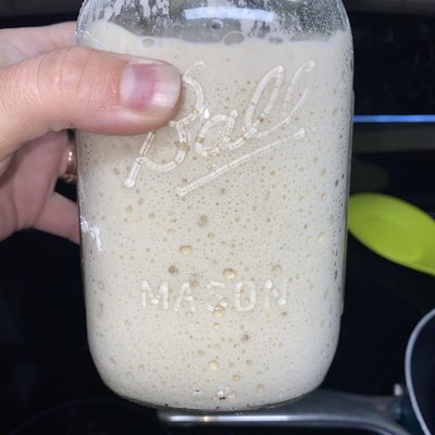 Sourdough Starter