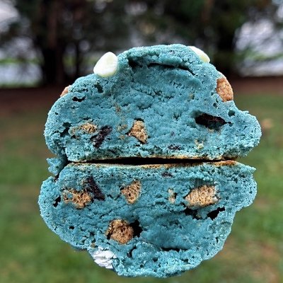 Monster Protein Cookie