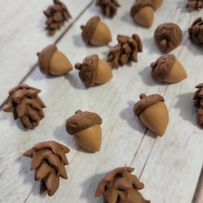 Acorns And Pinecones 