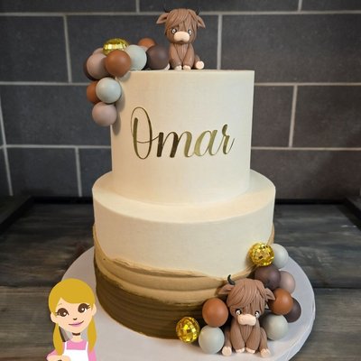 2 Tier Custom Cake Order