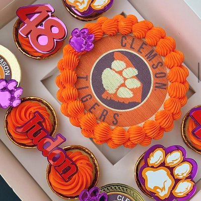 Large Round Bento Cake box