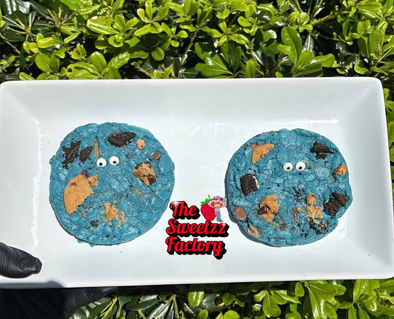 Cookie Monster