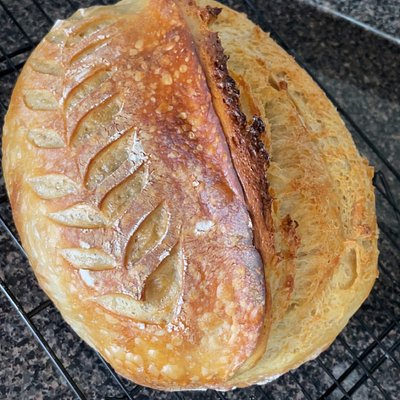 Plain Sourdough 