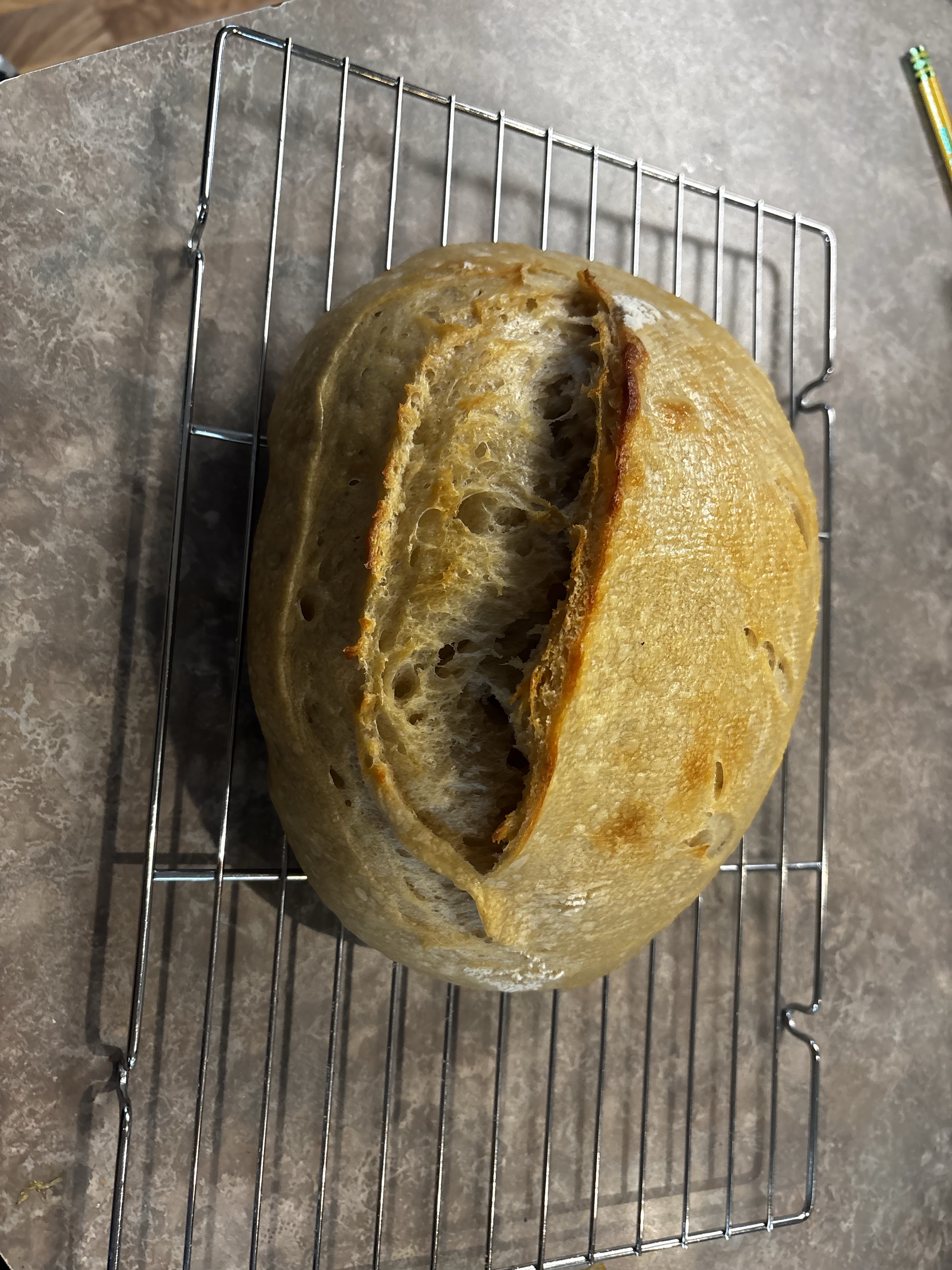 Sourdough Artisan Loaf