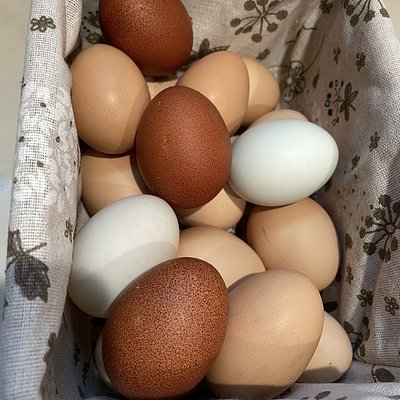 Farm Fresh Eggs