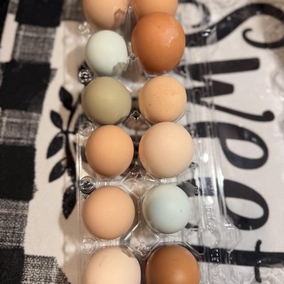 Farm Fresh Free Range Chicken  Eggs (dozen) 