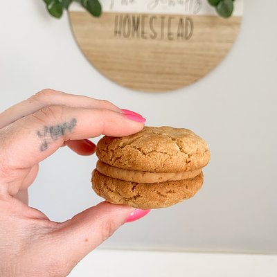 Peanut Butter Sandwich 