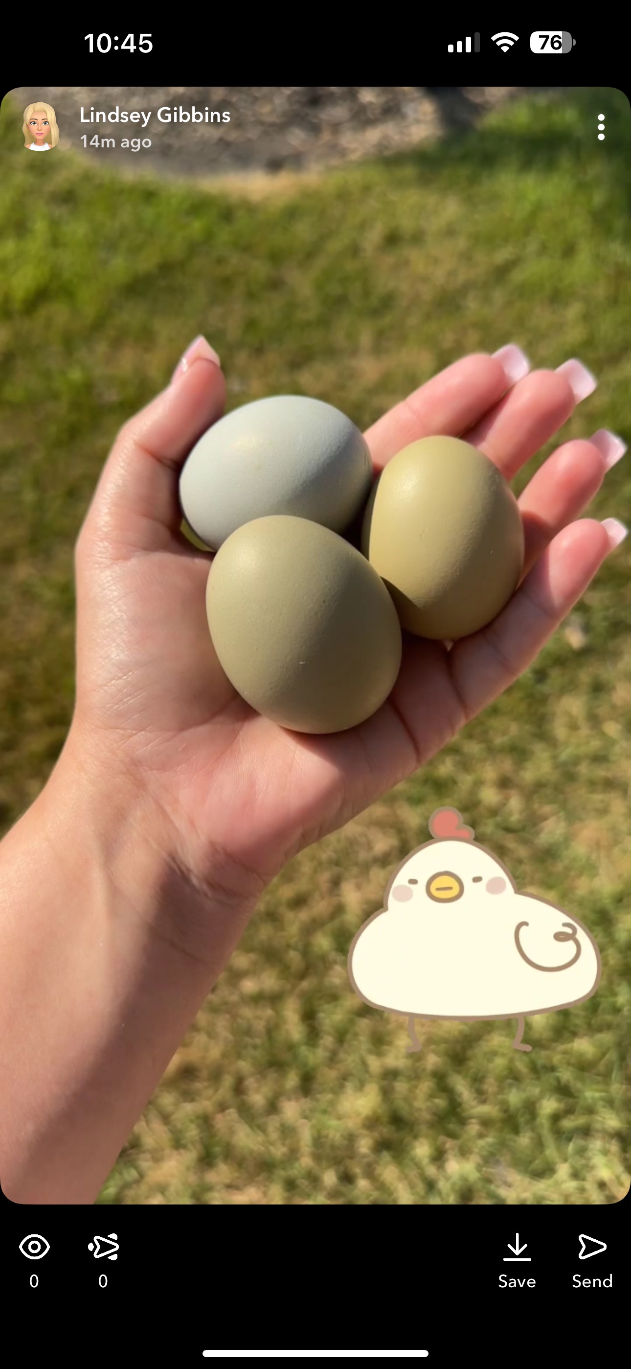 Eggs