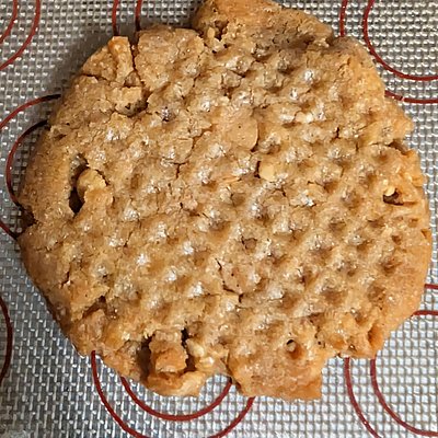 Peanut Butter Cookie 