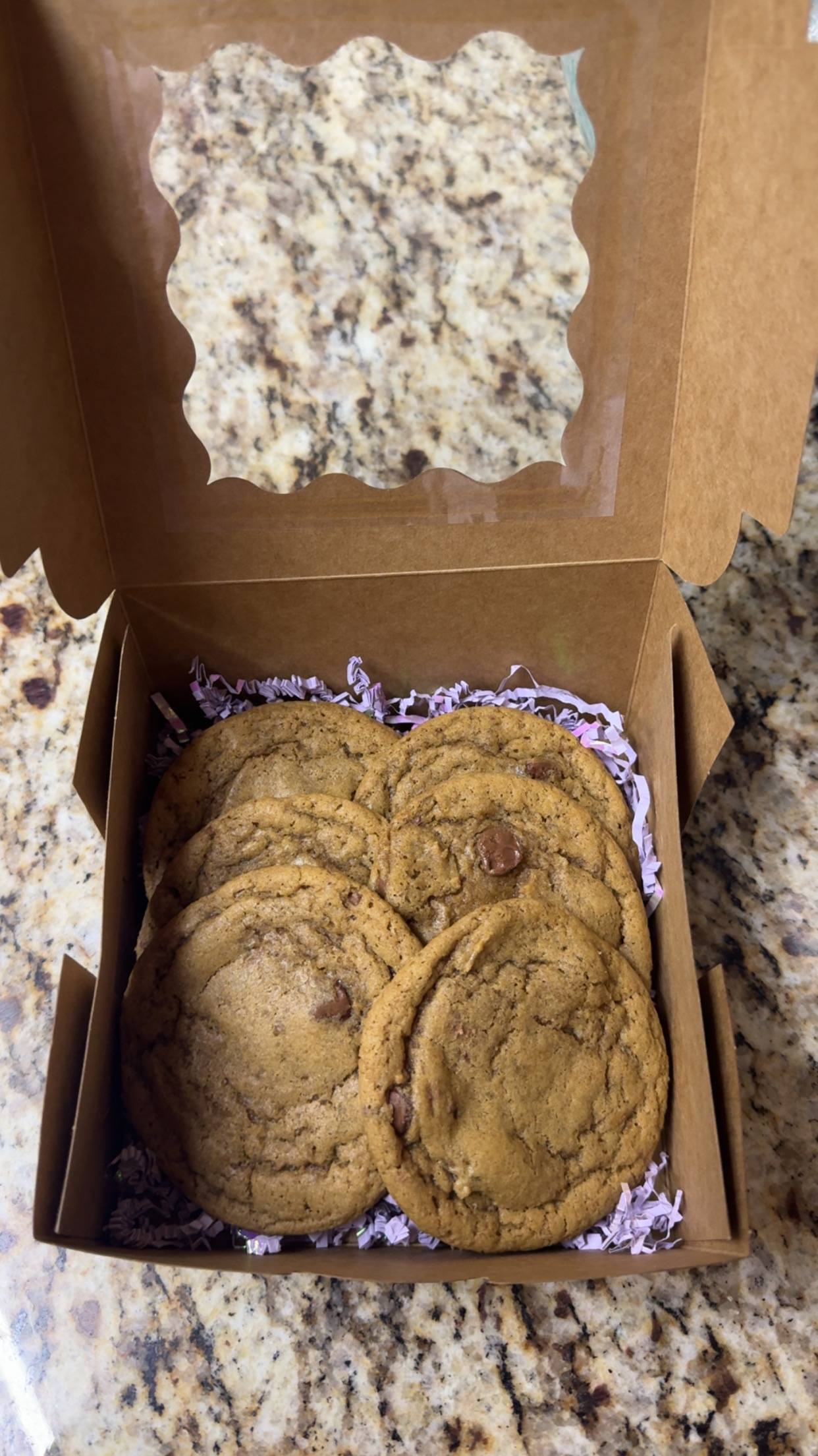 6 Pack Chocolate Chip Cookies